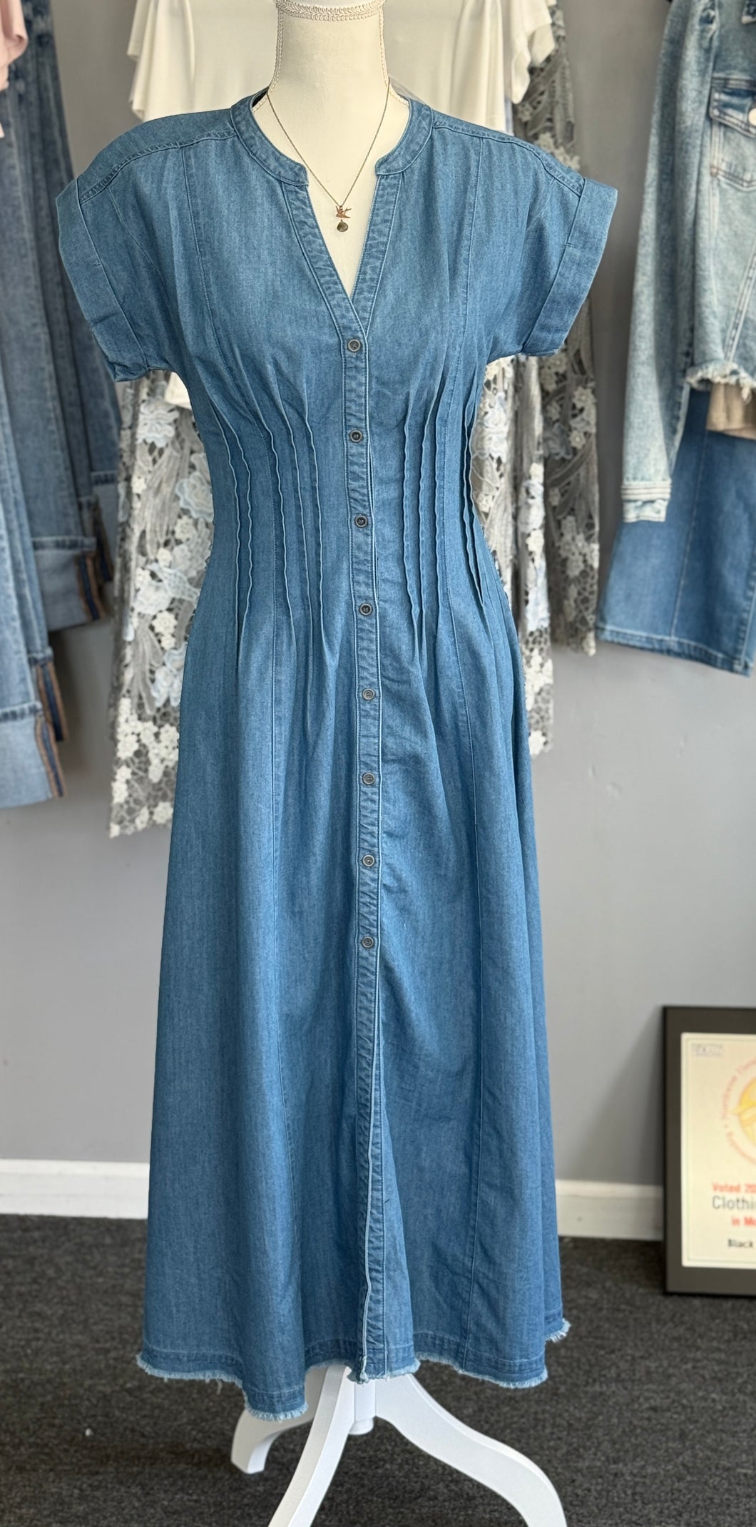 ZC Denim Maxi Dress