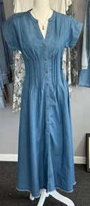 ZC Denim Maxi Dress